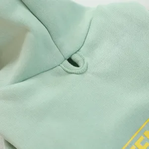 Close-up detail of light green pet hoodie with eyelet and letter print for small dogs.