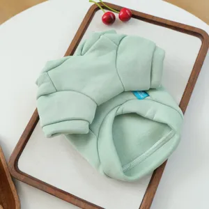 Detail shot of mint green pet sweatshirt for small dogs neatly folded on wood tray.