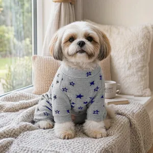 Detailed view of the cute grey pet onesie with blue star print, cozy indoor setting.