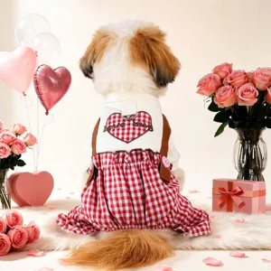 Cute Valentine's dog plaid outfit with heart patch and leash ring for spring and summer pets.