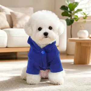 Detail view of a cute puppy wearing a blue hooded button-up pet sweatshirt for daily wear.