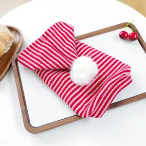 Detailed close-up of red and white striped pet knit sweater with fluffy white pom-pom.