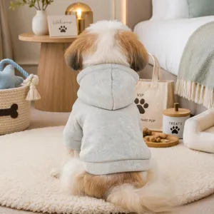 Cozy small dog hoodie detail shot, soft gray pet apparel in warm cozy home setting.