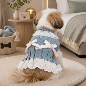 Vue rapprochée de la jolie robe en tricot bleu pour animaux avec dentelle et jolis nœuds.