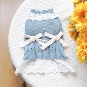 Vue détaillée de la jolie robe en tricot pour animal avec dentelle blanche et nœuds roses.