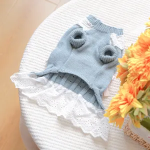 Détail de robe tricotée pour animal, bleu clair avec bordure en dentelle blanche et manches.