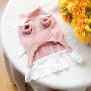 Robe pour animal de compagnie en tricot rose avec bordure en dentelle blanche, mignonne.