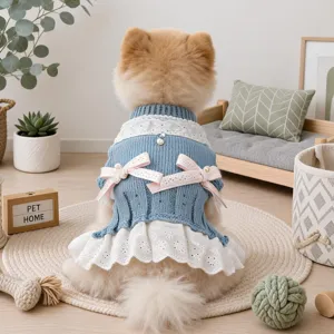 Jolie robe tricotée pour chien avec dentelle et nœuds, vêtement élégant pour petits chiens.