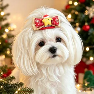 Süße Weihnachts-Haarspange für kleine Hunde mit Stern- und Schleifendesign im Detailblick.