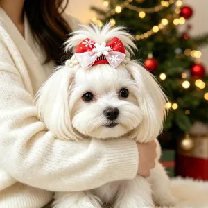 Weihnachten Haustier Haarklammer süße rote Schleife Welpe Zubehör für kleine Hunde Party
