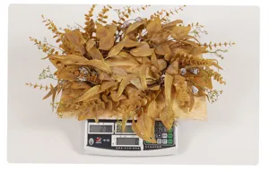 Couronne eucalyptus automne artificielle feuille porte pendaison thanksgiving deco