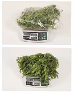 Guirlande de rotin de cèdre artificiel pour décoration de Noël, vigne de pin vert dense et réaliste.
