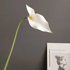 Nahaufnahme Detail kuenstliche weisse Calla Lilie Blume Stiel moderne Heimdeko Zubehoer