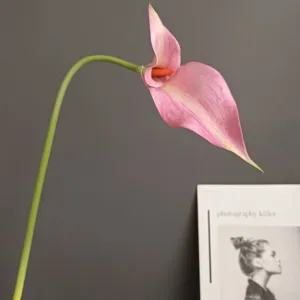 Künstliche EVA Calla Lilie Blume Detail, langer Stiel rosa Pflanze für moderne Dekoration.
