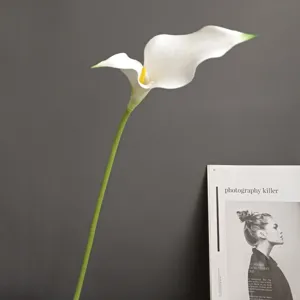 Künstliche weiße Calla Lilie Blume mit Stiel für moderne minimalistische Heimdekoration.