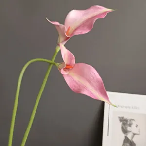 Künstliche EVA Calla Lilie Blume Doppelköpfig für Heimdekoration und Schaufenster Deko