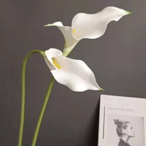 Künstliche Calla Lilie Blume Detailnahaufnahme, elegante weiße Blütenblatt Heimdekoration.