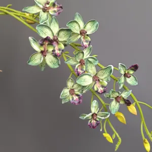 Dettaglio in primo piano di un ramo di orchidea artificiale con fiori verdi e bei boccioli.