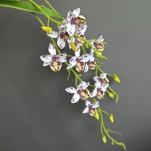 Fiore di orchidea artificiale vite appendere decorazione per la casa matrimonio.