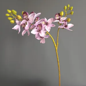 Dettaglio ravvicinato di un ramo di orchidea phalaenopsis finta, tocco morbido.