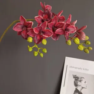 Ramo di fiori di orchidea phalaenopsis finta, vista dettagliata per la decorazione domestica.