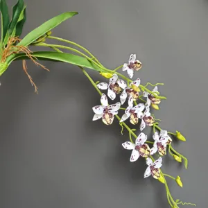 Dettaglio vite orchidea artificiale, decorazione floreale in seta per la casa e matrimoni.