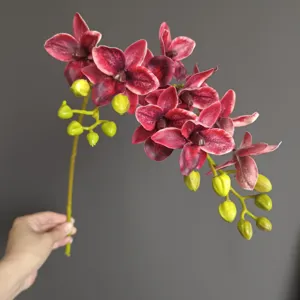 Rametto di orchidea Phalaenopsis artificiale rosso scuro fiore finto per decorazione casa