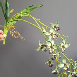 Vista di dettaglio di vite di orchidea artificiale, decoro floreale in seta realistica per casa.