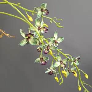Dettaglio di vite di orchidea artificiale, decoro floreale verde e viola realistico.