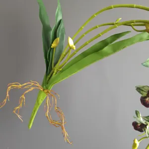 Dettaglio radice di vite di orchidea artificiale, foglie verdi realistiche e boccioli.