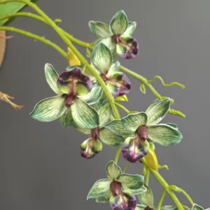 Finta pianta di orchidea rampicante per decorazione domestica, matrimoni e interni di hotel.