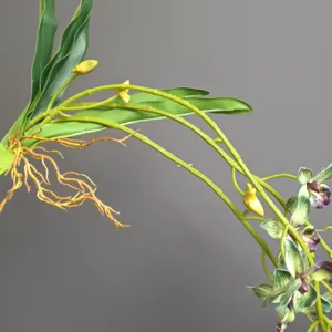 Fiore di vite di orchidea artificiale per decorazione di nozze dell'hotel della casa floreale.
