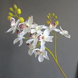 Primo piano dettagliato del ramo di orchidea phalaenopsis artificiale, texture realistica.