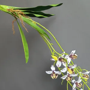 Finta pianta di orchidea rampicante per arredamento casa, composizione floreale matrimonio.