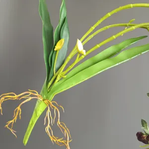 Dettaglio di vite di orchidea artificiale con foglie verdi vivaci, gemme e radici realistiche.