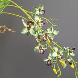 Primo piano di vite di orchidea artificiale, fiori verdi e viola per decorazione.
