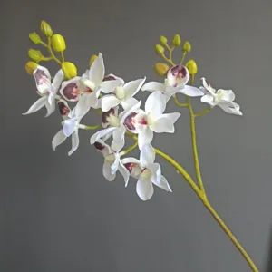 Vista di dettaglio del ramo di fiori di orchidea phalaenopsis finta, ideale per casa