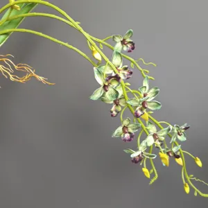 Primo piano dettagliato del ramo di vite di orchidea artificiale con fiori realistici.
