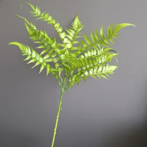Nahaufnahme Detail künstlicher Farnzweig, üppiges grünes Laub für Heimdeko Styling.