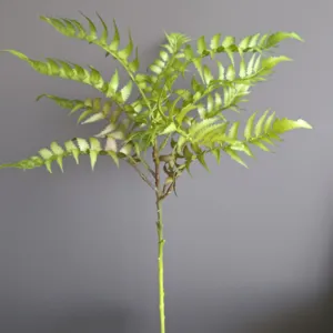 Künstliche weiche Gummi Farn Pflanze einzelner Stiel grüne botanische Detail Deko