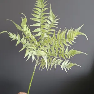 Künstlicher Farnblatt Pflanzendetail, weiches Gummimaterial für schöne Heimdekoration.