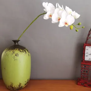 Künstliche Phalaenopsis Orchideen Blumen mit rustikalem grünen Keramikvase für Dekoration.