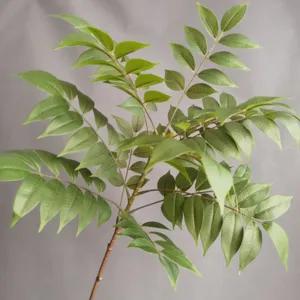 Ramas de Hojas de Glicinia Artificiales Tallos de Plantas Verdes Falsas Para Decoración del Hogar Paisajismo de Hotel