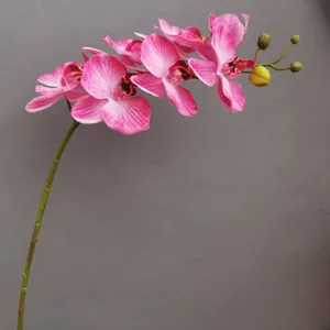 Künstlicher Orchideen-Blütenzweig 7 Köpfe rosa Phalaenopsis für Heimdekoration Hochzeit