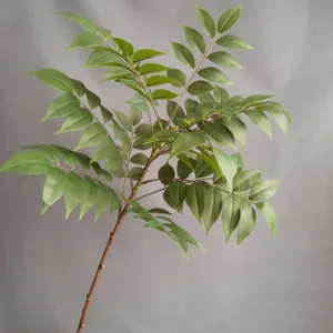 Detalle de rama de hoja de planta artificial impresa en 3D para decoración del hogar.