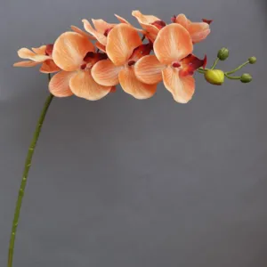 Künstliche Phalaenopsis Orchiden Blumen Zweig Detailansicht für moderne Heimdekoration.
