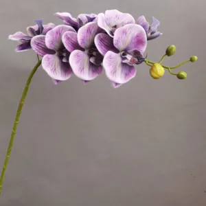 Kuenstliche 7-Kopf Phalaenopsis Orchidee Bluete Stiel Detail, violette Heimdeko Bluemen.