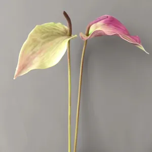 Artificial anthurium flower detail, soft touch glue feel gradient pink green petals, stem.