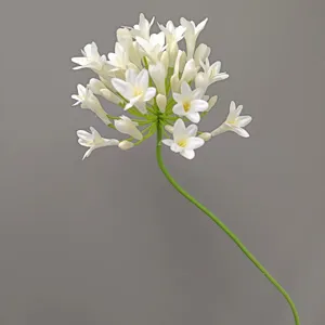 Vista dettagliata di fiore bianco artificiale agapanthus stelo singolo per casa e matrimonio.