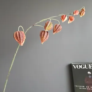 Détail de branche de physalis artificielle, tige de plante réaliste pour décoration d'intérieur.